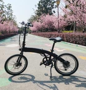 Factory Direct Folding  Bike 20Inch Foldable Ebike Folding Electric Bike Bicycle