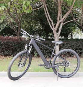 Paselec Green Lithium Power Rear Motor Aluminum Alloy Off -Road Commute Full Suspension Electric Mountain Bike