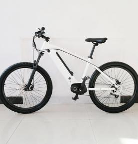 6 Speeds Middle Drive Motor 250W Mid Drive Motor Ebike 26Inch City Tire E-Bicycle Electric Bike