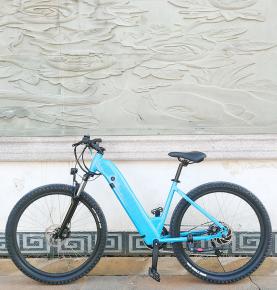 Popular Hot Sales 36V Rear Motor 6 Speed E-Bike mountain Electric Bike Bicycle