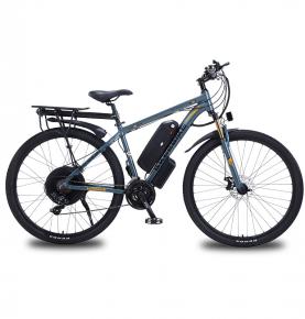2021 New Fashion Popular E Bike Lithium Battery 48V 1000w Fat Tire Long Range Fat Bike 29 EB-AKZ029