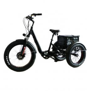 Best Selling 36V 250W Foldable Electric Fat Tire Tricycle Cargo Bike 3 Wheel Electric Bike EMQK-1013